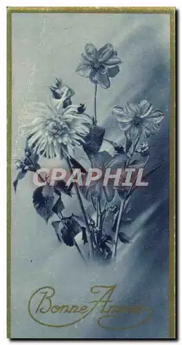 Cartes postales Fantaisie Fleurs