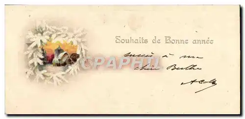 Cartes postales Fantaisie Bonne annee