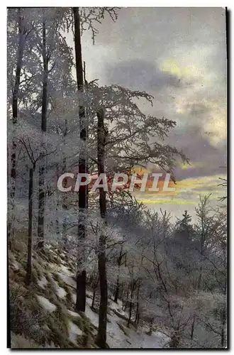 Cartes postales Fantaisie Foret