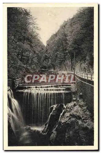 Cartes postales Chartreuse La Cascade de Fourvoirie