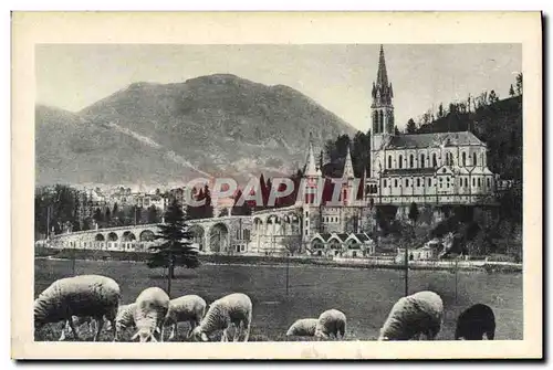 Cartes postales Lourdes La Basilique