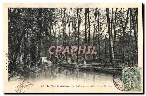 Cartes postales Paris Le Bois De Boulogne En Automne Mare Aux Biches