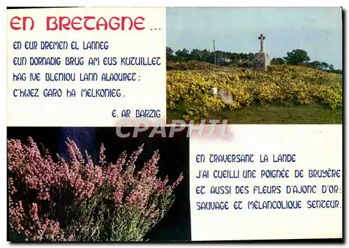 Cartes postales moderne En Bretagne En Eur Dremen El Lanneg