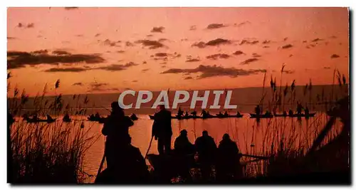 Cartes postales moderne Paysages Mediterranceens Au Petit Jour Sur Les Etangs chasse Au Canard