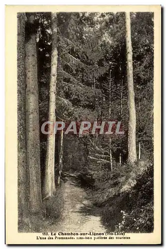 Ansichtskarte AK Le Chemin Sur Lignon L&#39Une Des Promenades Sous Bois Preferee Des Touristes