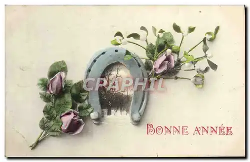 Cartes postales Fantaisie Bonne annee Fleurs Fer a cheval