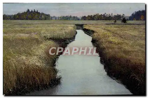 Cartes postales moderne Fantaisie Bord d'eau