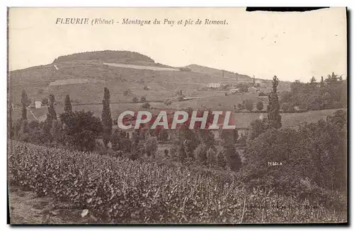 Cartes postales Fleurie Montagne Du Puy Et Pic De Remont