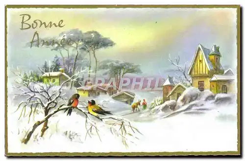 Cartes postales Fantaisie Bonne annee Oiseaux