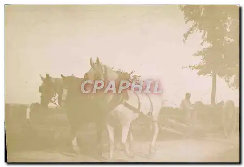 Photo Attelage Cheval Canon Militaria