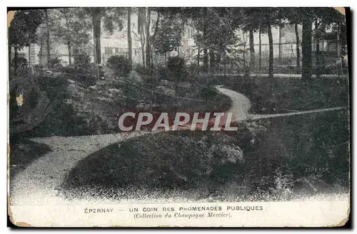 Ansichtskarte AK Epernay Un coin des promenades publiques Champagne Mercier