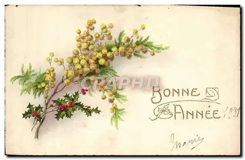 Cartes postales Fantaisie Fleurs Bonne Annee