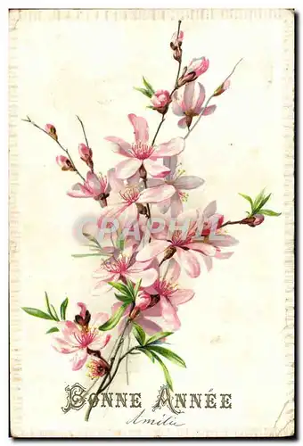 Cartes postales Fantaisie Fleurs