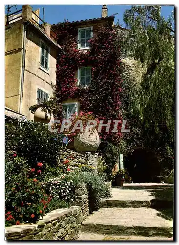 Cartes postales moderne Lumiere Et Beaute De La Cote d&#39Azur Ruelle De Provence