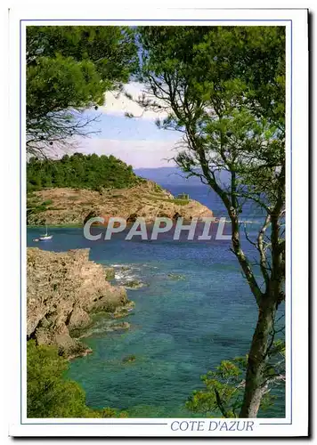 Cartes postales moderne La Cote d&#39Azur calanque Dans Les Pins