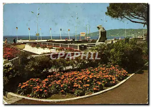 Cartes postales moderne Juan Les Pins Une Partie Des Jardins En Bordure De La Pinede