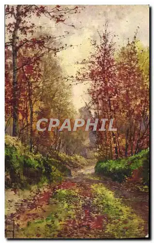 Cartes postales Fantaisie Sous bois