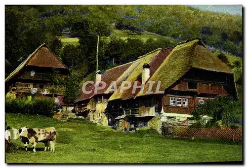 Cartes postales Fantaisie Maison Attelage Boeufs