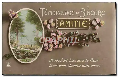 Cartes postales Temoignage De Sincere Amitie Fleurs