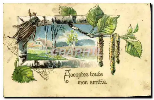 Cartes postales Acceptez toute mon amitie Fleurs Insecte