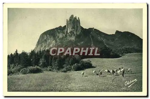 Cartes postales Le Trois Pucelles Saint Nizier