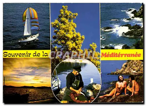 Cartes postales Souvenir de la Mediterranee Nudistes Femme seins nus pecheur Peche Voile Bateau