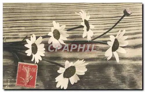 Cartes postales Fantaisie Fleurs