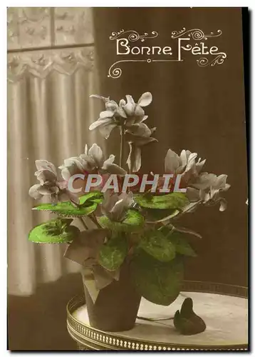 Cartes postales Fantaisie Fleurs Bonne Fete