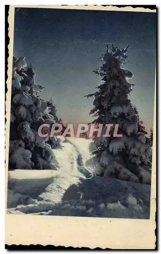 Cartes postales Fantaisie Sapin sous la neige