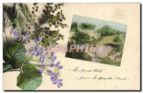 Cartes postales Fantaisie Fleurs Maisonnee