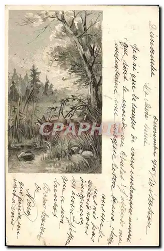 Cartes postales Renard aux aguets