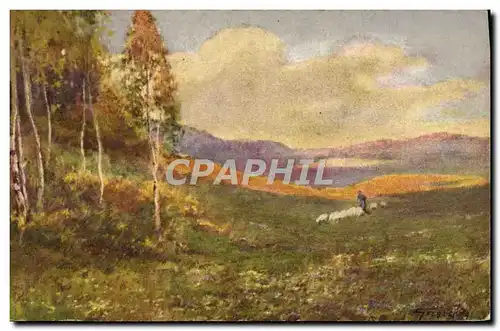 Cartes postales Fantaisie