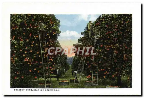 Cartes postales Orange Picking New New Orleans La The Elk&#39s mausoleum Greenwood Cemetery
