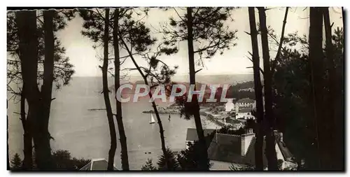 Cartes postales moderne Treboul Vue Prise du Bois d'Isis