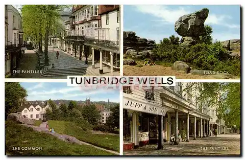 Cartes postales moderne Tunbridge Wells The Pantilles Toad Rock