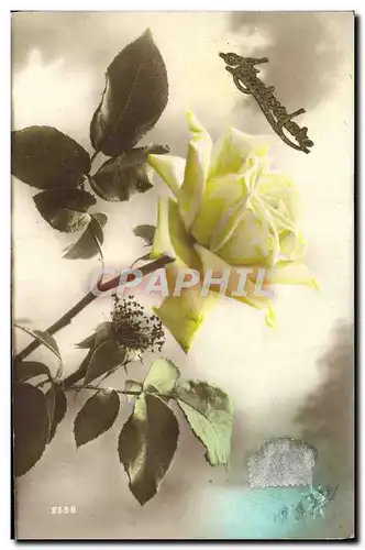 Cartes postales Fantaisie Fleurs