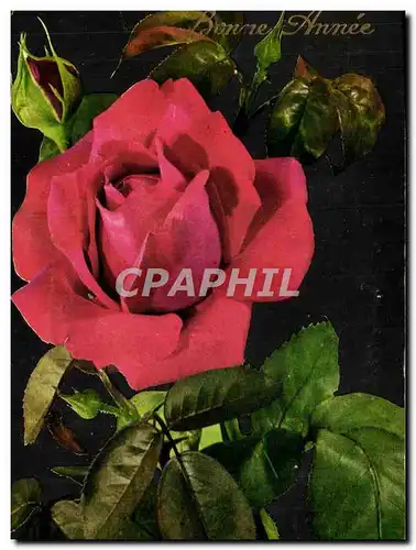 Cartes postales moderne Fantaisie Fleurs