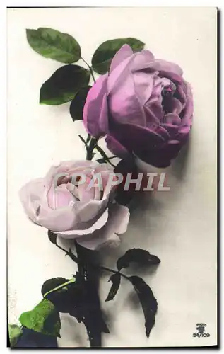 Cartes postales Fantaisie Fleurs