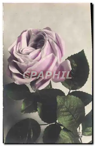 Cartes postales Fantaisie Fleurs