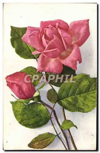 Cartes postales Fantaisie Fleurs