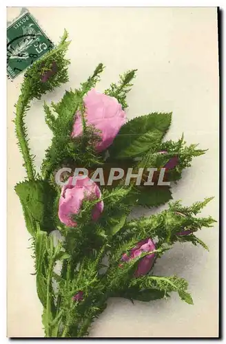 Cartes postales Fantaisie Fleurs