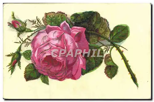 Cartes postales Fantaisie Fleurs