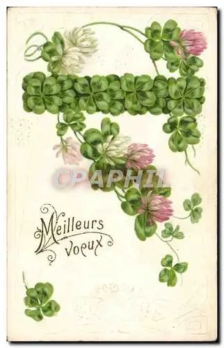 Cartes postales Fantaisie Fleurs Trefles