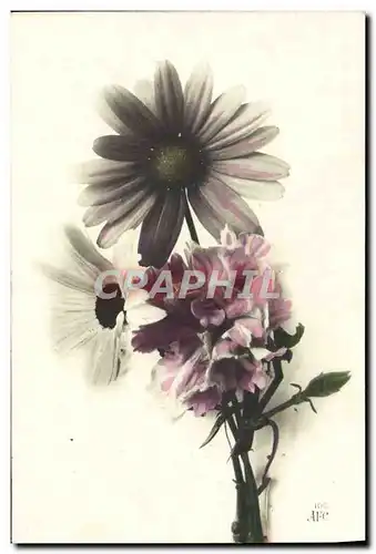 Cartes postales Fantaisie Fleurs