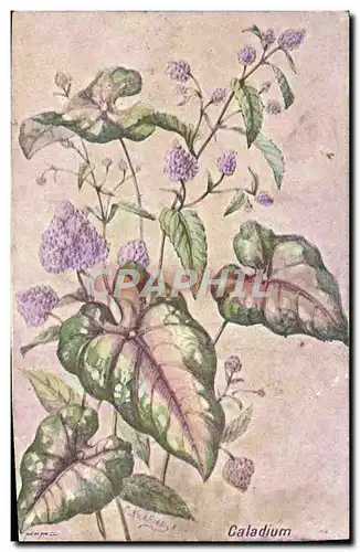 Cartes postales Fantaisie Fleurs