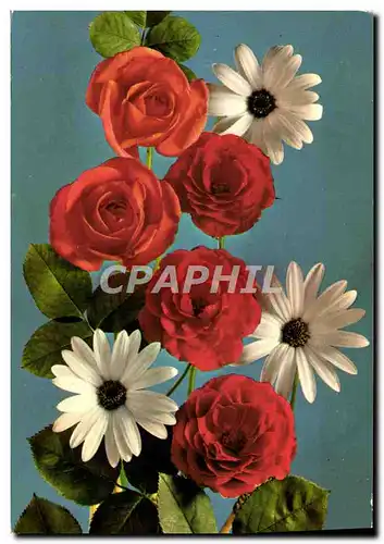 Cartes postales moderne Fantaisie Fleurs