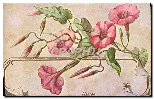 Cartes postales Fantaisie Fleurs