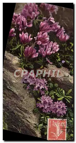 Cartes postales Fantaisie Fleurs