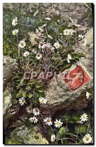 Cartes postales Fantaisie Fleurs