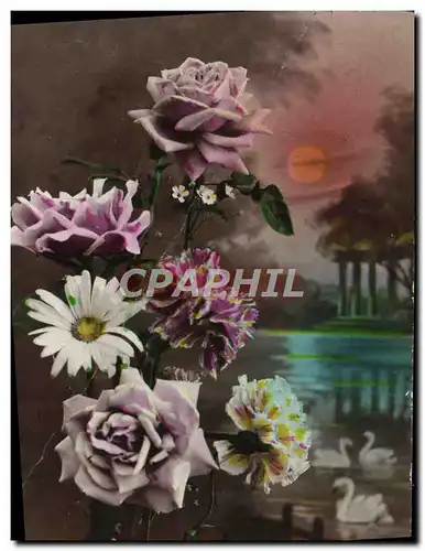 Cartes postales Fantaisie Fleurs